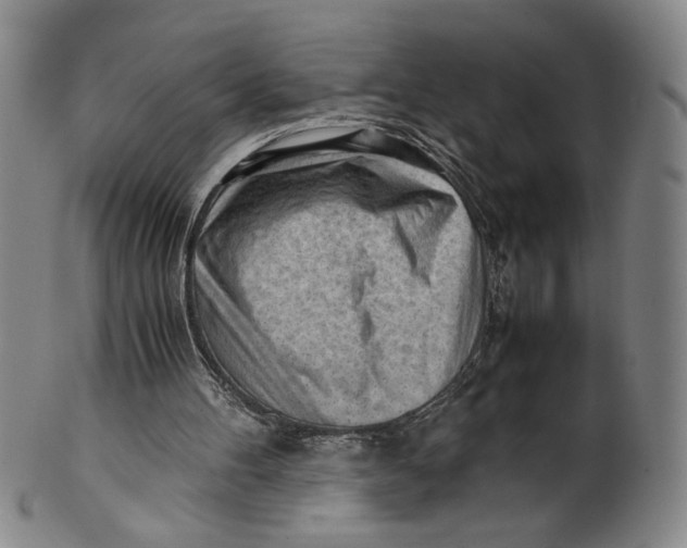 X0000101960100200808081537