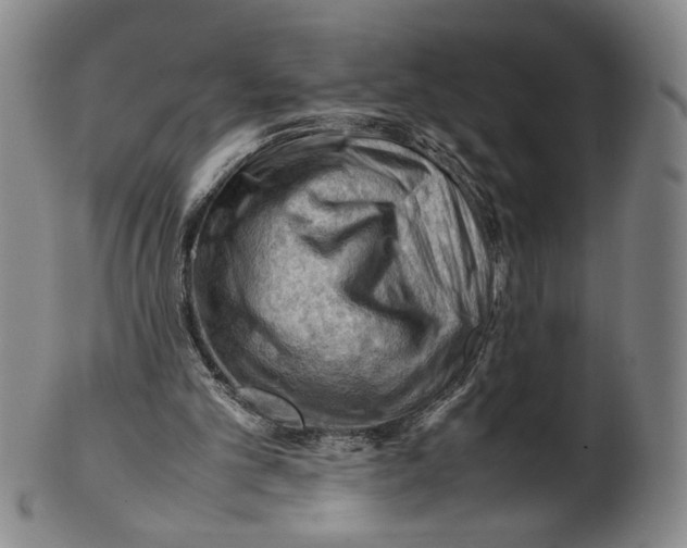 X0000101960101200808081537