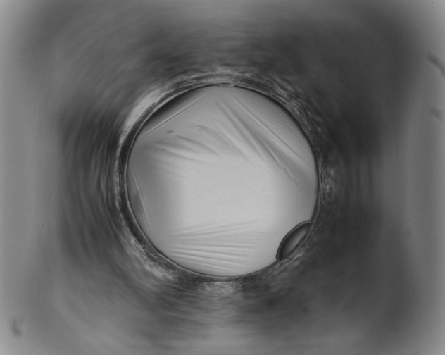 X0000101960102200808081537