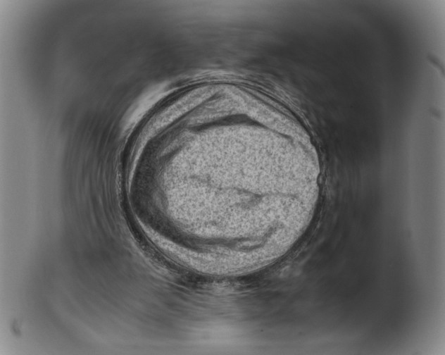 X0000101960103200808081537