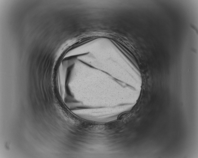 X0000101960104200808081537
