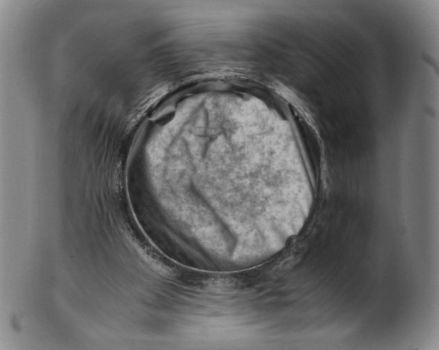 X0000101960105200808081537