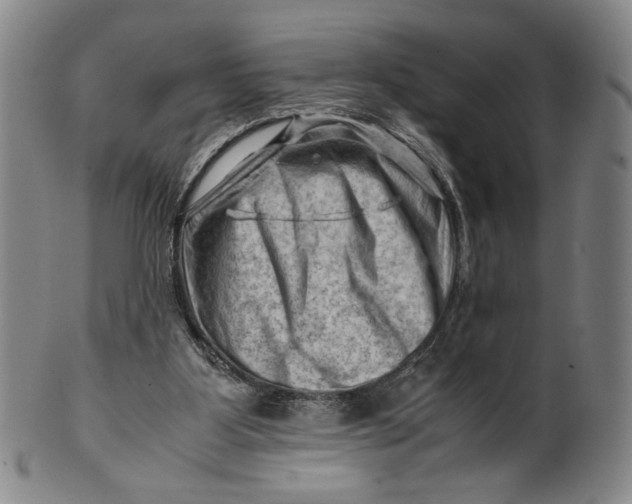 X0000101960107200808081537