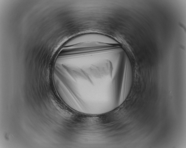 X0000101960108200808081537