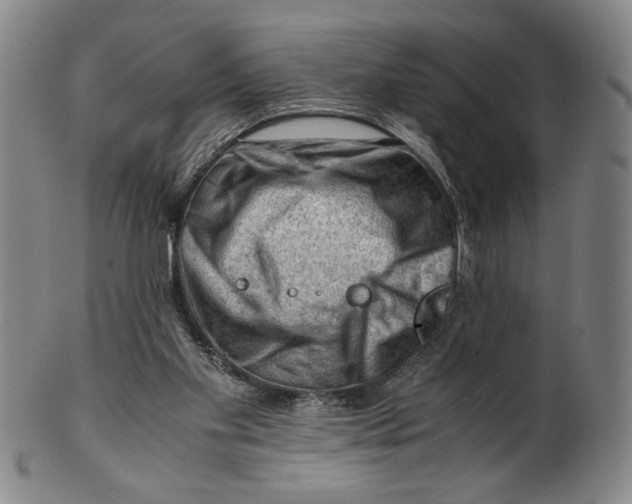 X0000101960109200808081537