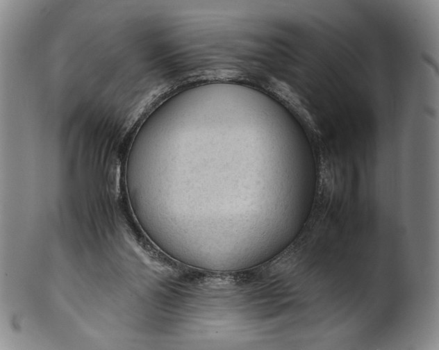 X0000101960110200808081537