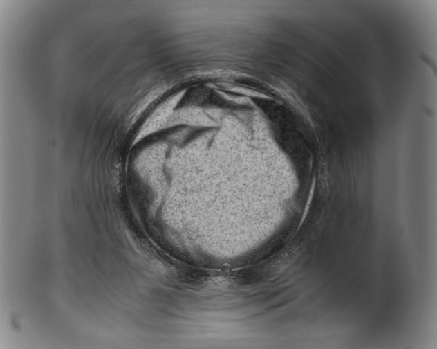 X0000101960111200808081537
