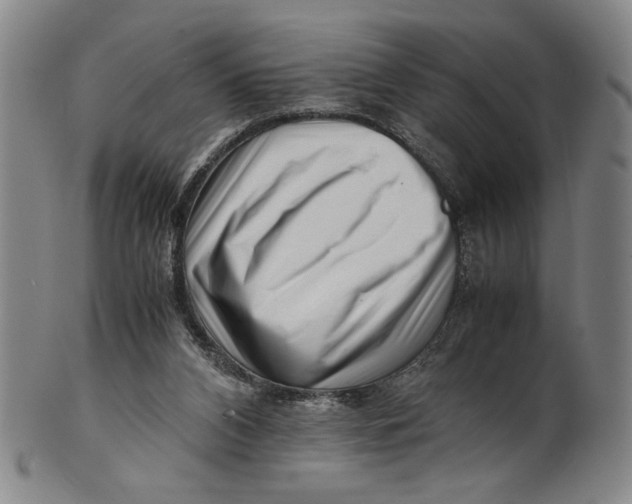 X0000101960112200808081537