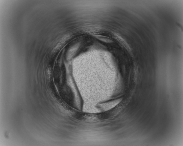 X0000101960113200808081537