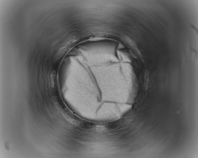 X0000101960114200808081537