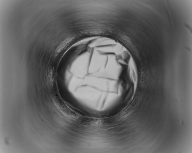 X0000101960116200808081537
