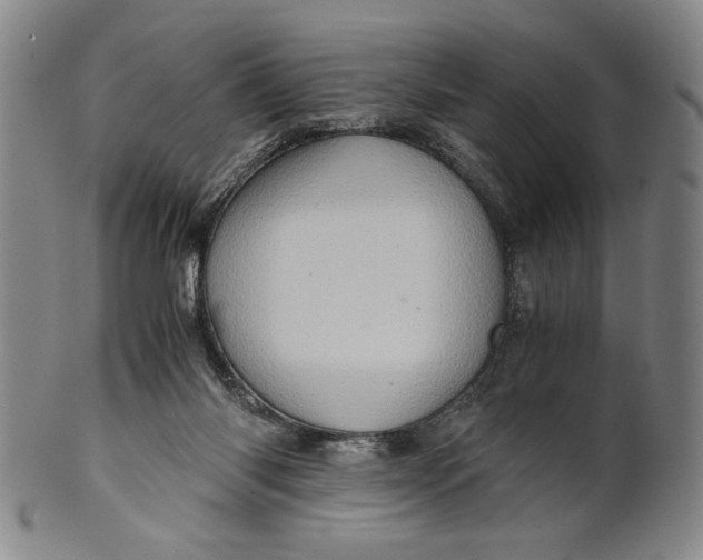 X0000101960118200808081537