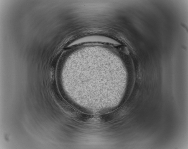 X0000101960119200808081537