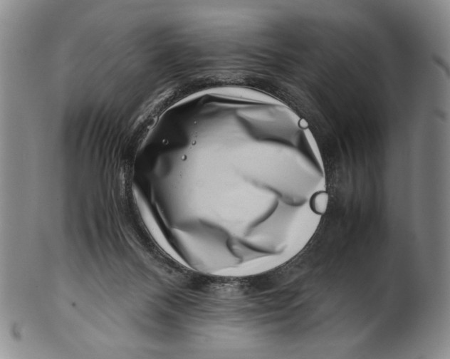 X0000101960120200808081537