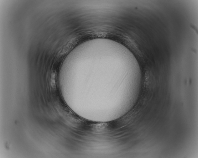 X0000101960122200808081537