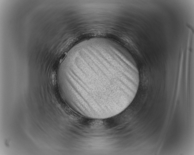 X0000101960123200808081537