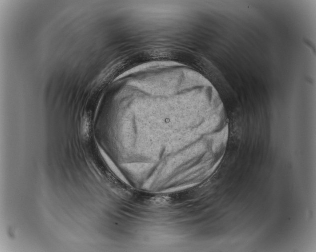 X0000101960124200808081537