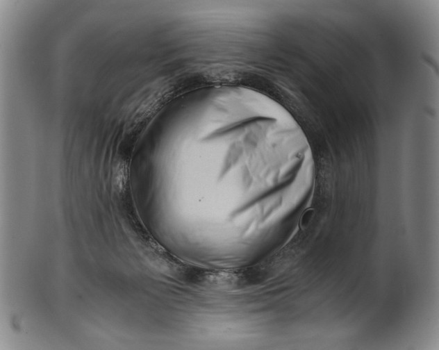 X0000101960125200808081537