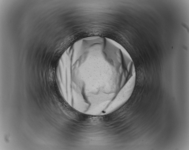 X0000101960126200808081537