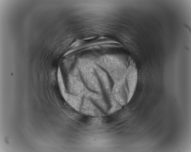 X0000101960127200808081537