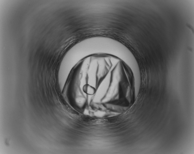 X0000101960128200808081537