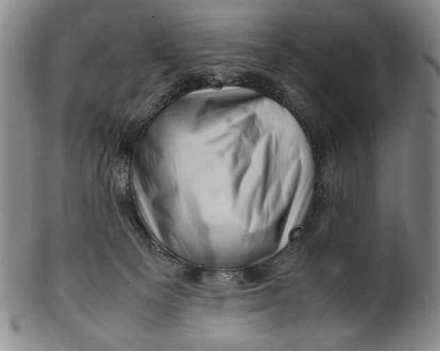 X0000101960129200808081537