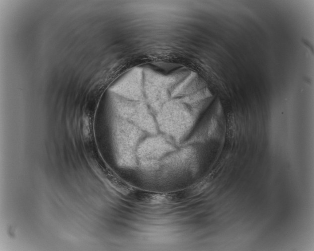X0000101960130200808081537