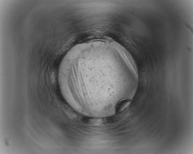 X0000101960131200808081537
