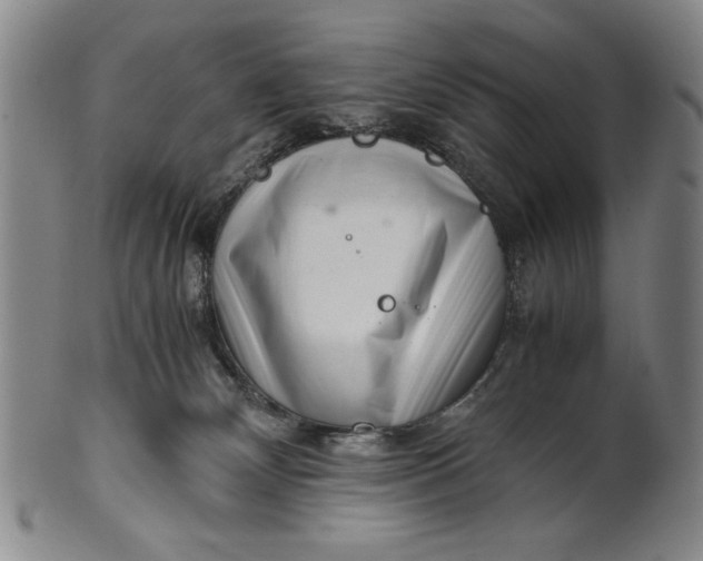 X0000101960132200808081537