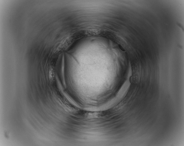 X0000101960134200808081536