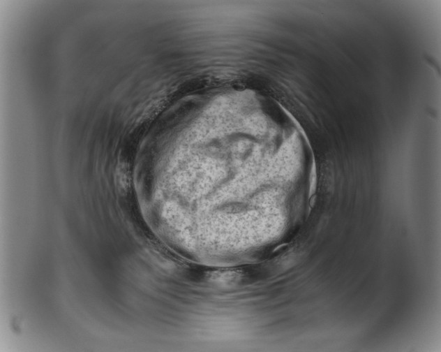 X0000101960135200808081536