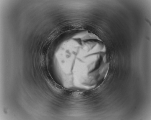 X0000101960136200808081536