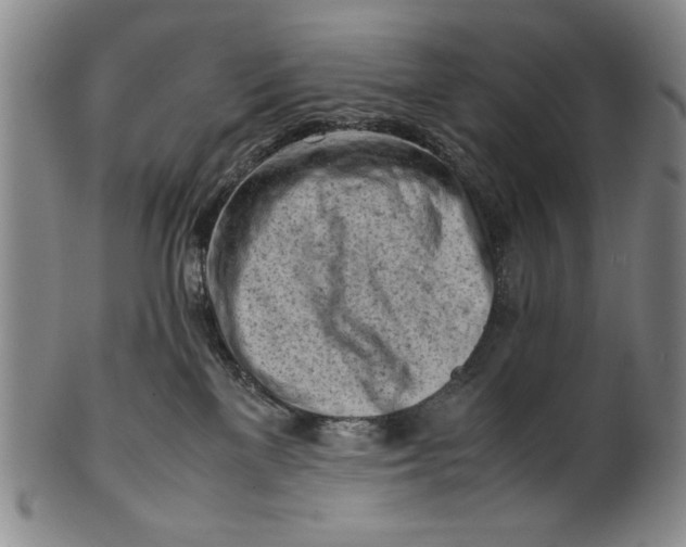 X0000101960137200808081536