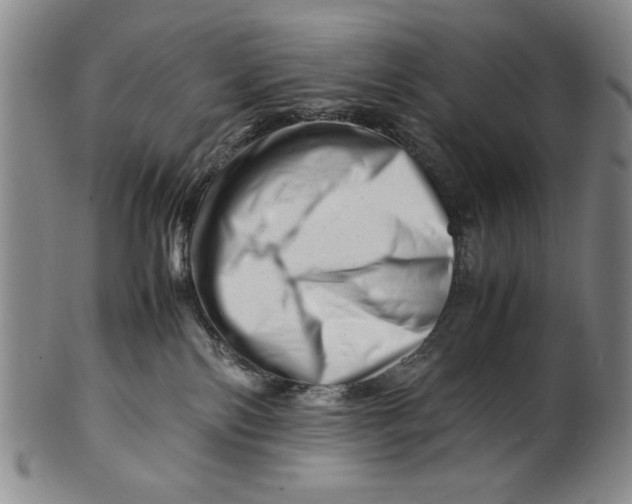 X0000101960138200808081536