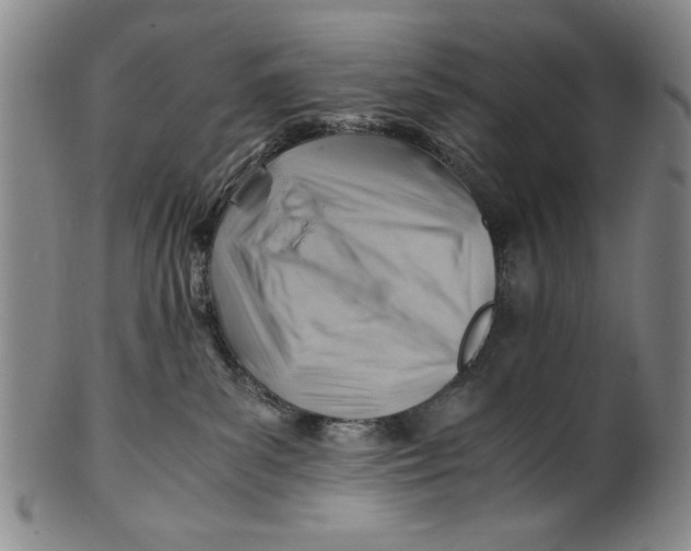 X0000101960139200808081536