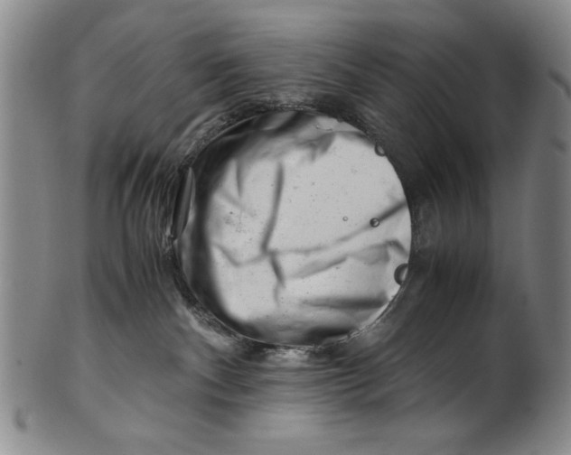 X0000101960140200808081536