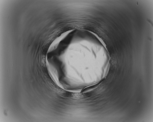X0000101960141200808081536