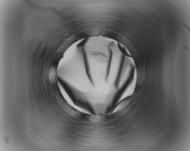 X0000101960142200808081536