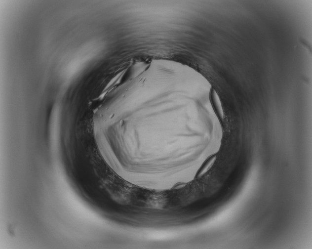 X0000101960143200808081536