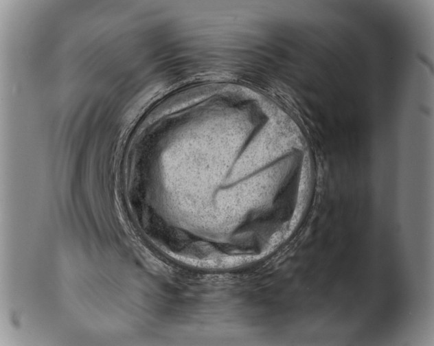 X0000101960145200808081536