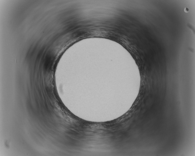 X0000101960146200808081536