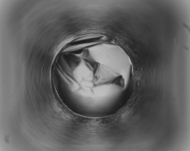 X0000101960148200808081536