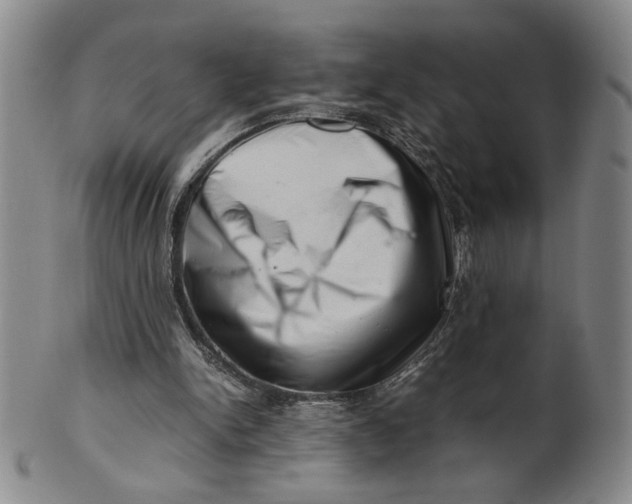 X0000101960150200808081536