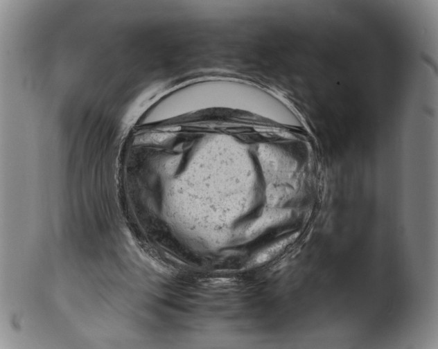 X0000101960151200808081536