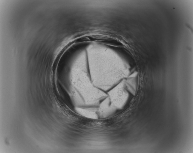X0000101960152200808081536