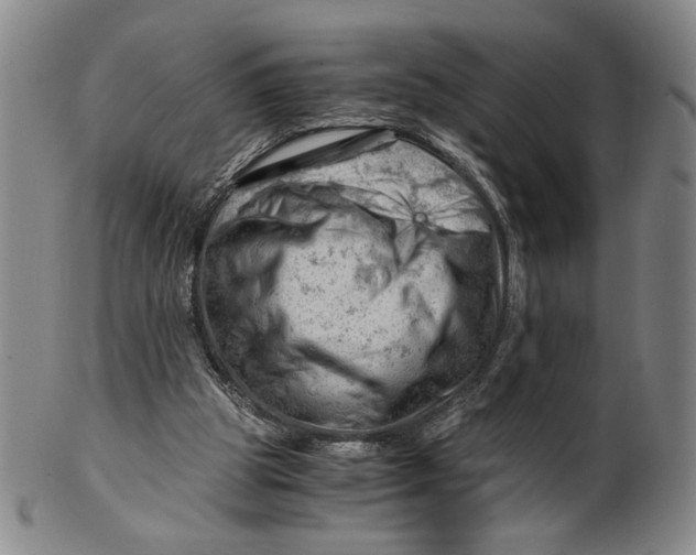 X0000101960153200808081536