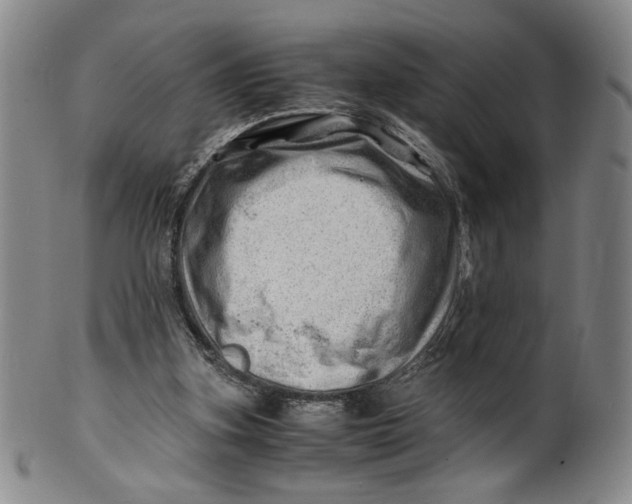 X0000101960155200808081536
