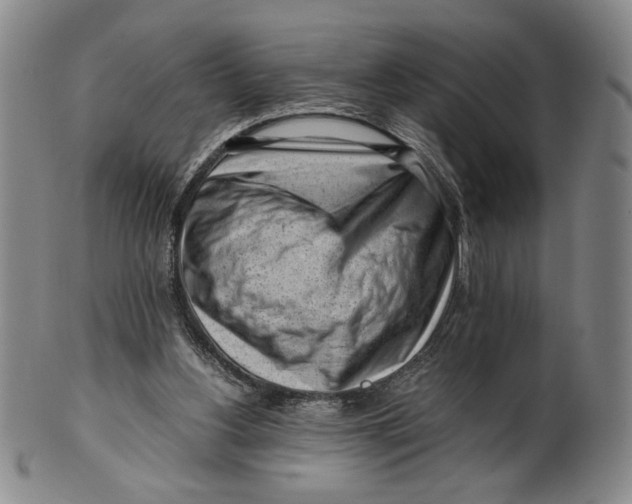X0000101960156200808081536