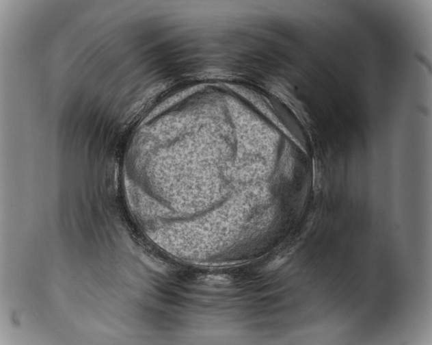 X0000101960157200808081536