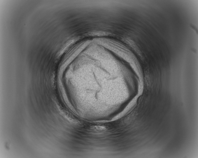 X0000101960159200808081536